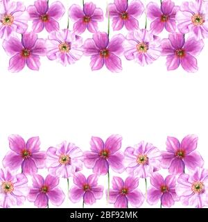 Aquarellrahmen aus Anemonblüten. Handgezeichnete Blumen isoliert auf weißem Hintergrund. Kunstvolles Blumenelement. Botany-Illustration Stockfoto