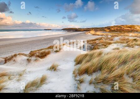 Windgepeitschte Sanddünen bei Gwithian Cornwall Stockfoto