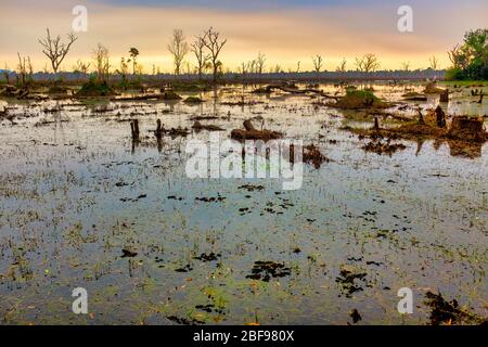 Sonnenuntergang über Jayatataka Baray, einem künstlichen See im Angkor Komplex, Angkor, Siem Reap, Kambodscha Stockfoto