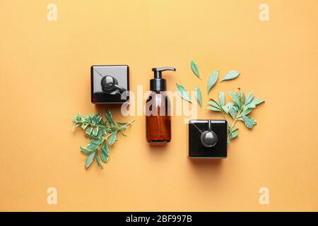 Flaschen Shampoo mit Kräuterextrakt auf Farbhintergrund Stockfoto