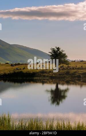 Tewet Tarn und darüber hinaus, über das Greta Valley, Blencathra, in der Nähe von Keswick, Lake District, Cumbria, England, Großbritannien Stockfoto