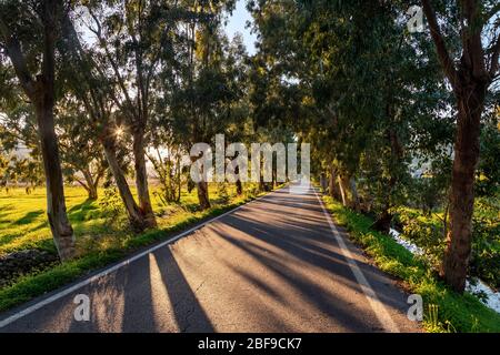 Die Fourni - Kastelli Straße, Epano Mirabello, Gemeinde Agios Nikolaos, Lassithi, Kreta, Griechenland. Stockfoto