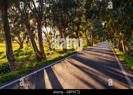 Die Fourni - Kastelli Straße, Epano Mirabello, Gemeinde Agios Nikolaos, Lassithi, Kreta, Griechenland. Stockfoto