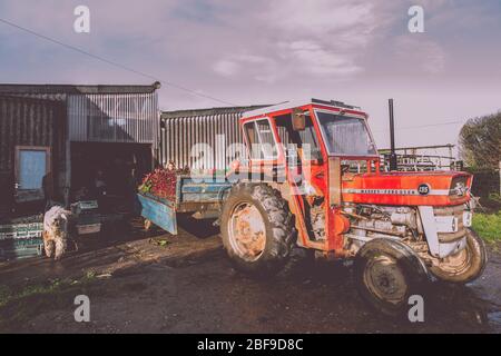 Traktor auf dem Hof geparkt Stockfoto