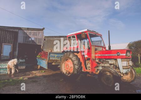 Traktor auf dem Hof geparkt Stockfoto