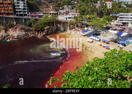 Rote Flut an Playa L'Angosta am Pazifik, Acapulco, Mexiko. Stockfoto