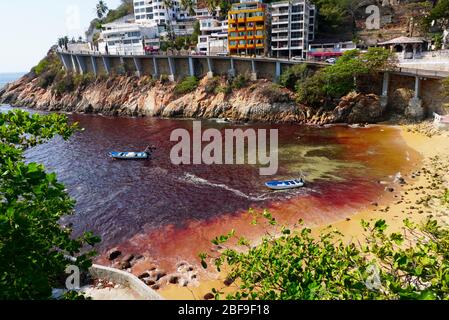 Rote Flut an Playa L'Angosta am Pazifik, Acapulco, Mexiko. Stockfoto