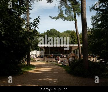 Wendover Woods Besucherzentrum Café / Restaurant Terrasse durch die Bäume. Wendover Woods Visitor Center, Aylesbury, Großbritannien. Architekt: Re-Fo Stockfoto