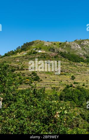 Aussichtspunkt der Terrassen (Miradouro dos Soccalcos), mit Blick auf die Landwirtschaftlichen Terrassen (berühmte Tibeter Stil Landschaft Blick), Porta Cova Place, Sist Stockfoto