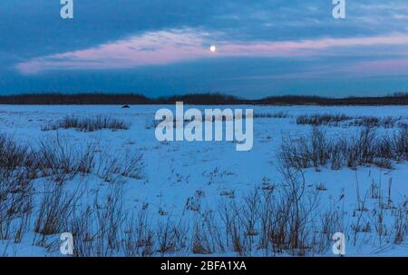 Dämmerung in der Crex Meadows State Wildlife Area im Nordwesten von Wisconsin. Stockfoto