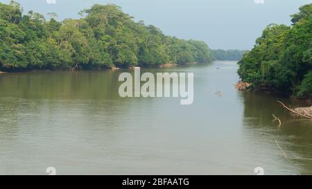 Person im Boot, der an einem sonnigen Tag den San Miguel Fluss entlang fährt, der von Bäumen an den Ufern der Grenze zwischen Ecuador und Kolumbien umgeben ist Stockfoto