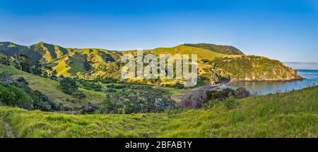 Fletcher Bay Campingplatz, Blick vom Coromandel Gehweg, Coromandel Halbinsel, Waikato Region, Nordinsel, Neuseeland Stockfoto