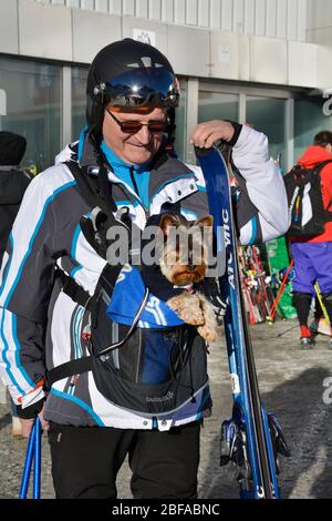 Stubai, Österreich - 23. Dezember 2015: Nicht identifizierter Mann mit Hund im Sack für Skiurlaub am Stubaier Gletscher Stockfoto