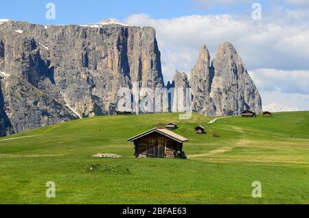 Italien, Südtirol, Seiser Alm, Stockfoto