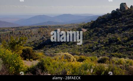 Wilde Blumen und malerische Ausblicke in der Nähe von Garies in Namaqualand, Nordkap, Südafrika Stockfoto