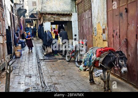 Fes, Marokko - 20. November 2014: Unbekannte Menschen in dem Teil der Färber und Esel beladen mit verschiedenen Waren in Souk Fes el-Bali Stockfoto