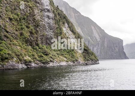 Landschaft mit üppiger Regenwaldvegetation an steilen felsigen Fjordufern, aufgenommen in hellem bewölktem Licht am Milford Sound, Southland, South Island, New Zeal Stockfoto