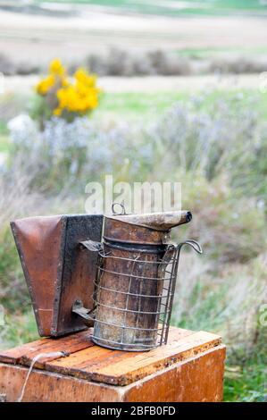 Honig sammeln in Monegros, Aragon, Spanien Stockfoto