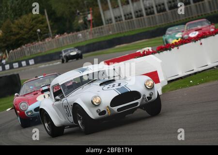 2010 GOODWOOD Revival - Schikane Aktion im Tourist Trophy-Festrennen für 1960-1964 GT-Fahrzeuge Stockfoto