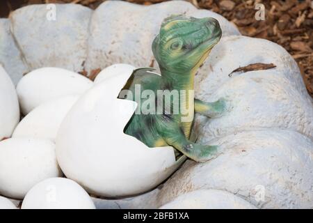 Kleine reptil Dinosaure Geburt mit Eiern im Boden Stockfoto