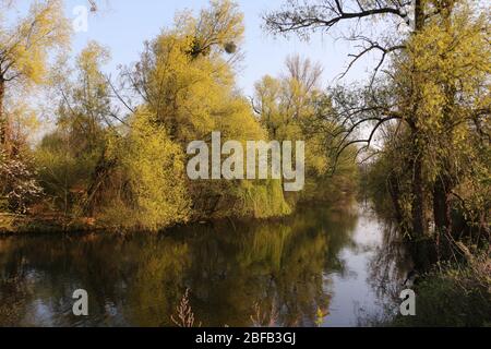 Blick auf die Ruhr bei Wickede an der Ruhr Stockfoto