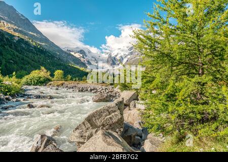 OVA da Morteratsch in einer Sommerlandschaft am Morteratschgletscher, Engadin, Schweiz Stockfoto