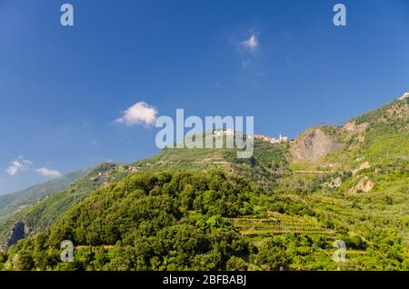 San Bernardino Dorf auf der Spitze der grünen Hügel mit blauen Himmel kopieren Raum Hintergrund, Blick von Corniglia, Nationalpark Cinque Terre, La Spezia provi Stockfoto