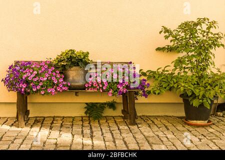 Blumenbank mit Blumentopf und bunten Blumen vor der hellen Hauswand auf Kopfsteinpflaster Stockfoto