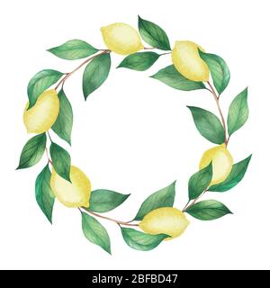 Aquarellkranz aus Zitronen und grünen Zweigen, Blättern. Isolierte Zeichnung auf weißem Hintergrund Stockfoto