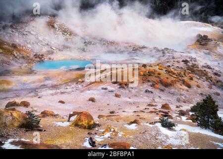 Dampf steigt aus dem türkisfarbenen Pool und den vielen geothermischen Eigenschaften, die in der Bumpass Hell im kalifornischen Lassen Volcanic National Park zu finden sind. Stockfoto