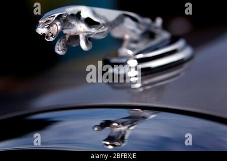 Im Bild: Jaguar Automobil Firma emblem Stockfoto