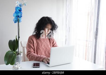Frau arbeitet von zu Hause aus mit dem Computer Stockfoto