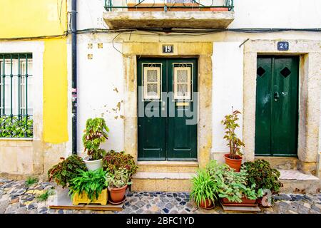 Alte grüne Türen und Topfpflanzen in Lissabon Alfama Stockfoto