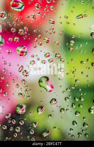 Wassertropfen auf Glas mit buntem Hintergrund Stockfoto