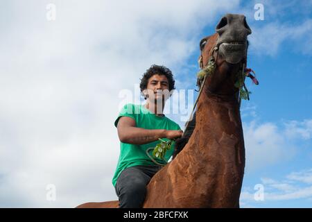 TE kaha Neuseeland im Januar 2013 ein junger Maori-Mann im grünen Hemd bareback reiten braunes Pferd am Strand entlang. Stockfoto