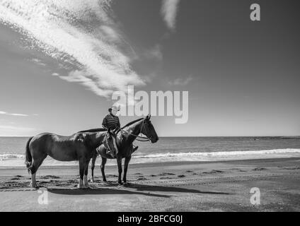 TE Kaha, Neuseeland - Januar 13 2013; Mann, der auf dem Pferd reitet und weitere Stationen am Strand führt. Stockfoto