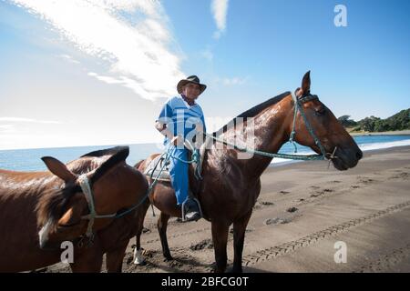 TE Kaha, Neuseeland - Januar 13 2013; Mann, der auf dem Pferd reitet und weitere Stationen am Strand führt. Stockfoto