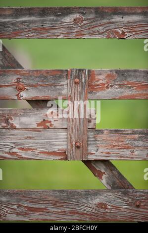 Holzzauntor mit Holzmaserung und abblätternder roter Farbe Im ländlichen Raum auf Hobby-Bauernhof aus horizontalen und Vertikale Holzplanken vertikales Format Stockfoto