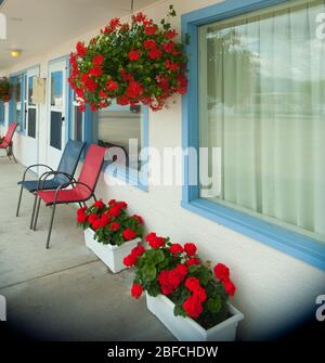 Rote Geranien in weißen Pflanzgefäßen auf der Veranda des Montana Motel Zimmer mit passenden roten und blauen Stühlen als Terrasse Dekor im Freien eingerichtet Stockfoto