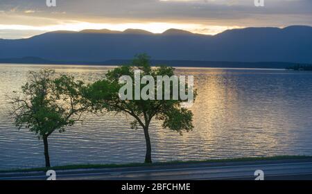 Zwei Bäume am Lake at Sunset at Waters Shore On Roadside Scenery on Road Trip in Montana mit Lichtreflektion Am See Wasser in der Dämmerung Berge im Rücken Stockfoto