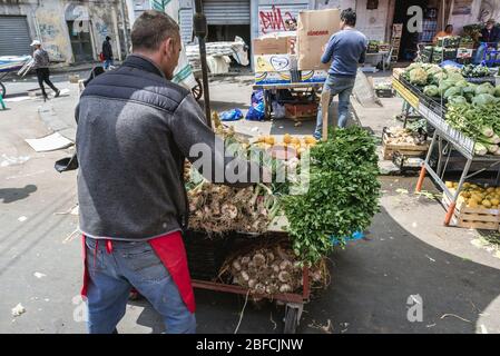 Italienische Gralic und Petersilie zum Verkauf auf einem Straßenmarkt auf einer Piazza Carlo Alberto in Catania, zweitgrößte Stadt der Insel Sizilien in Italien Stockfoto