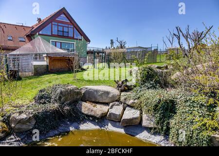 ZOO, Tábor, Jižní Čechy, Česká republika / zoologischer Garten, Stadt Tabor, Südböhmische Region, Tschechische republik Stockfoto