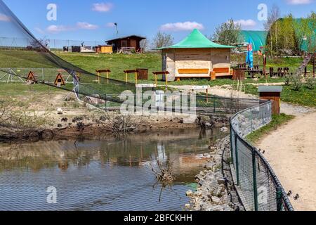 ZOO, Tábor, Jižní Čechy, Česká republika / zoologischer Garten, Stadt Tabor, Südböhmische Region, Tschechische republik Stockfoto