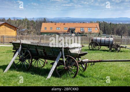 ZOO, Tábor, Jižní Čechy, Česká republika / zoologischer Garten, Stadt Tabor, Südböhmische Region, Tschechische republik Stockfoto