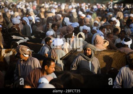 Ein beliebtes Kaffeezelt auf dem Daraw Animal Market bei Assuan, Ägypten. Stockfoto