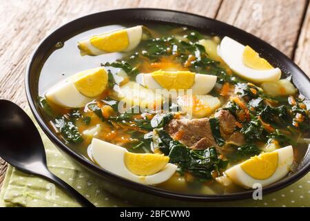 Frühlingssuppe aus Spinat, Kartoffeln, Karotten, Eiern und Fleisch in einer Schüssel auf dem Tisch. Horizontal Stockfoto