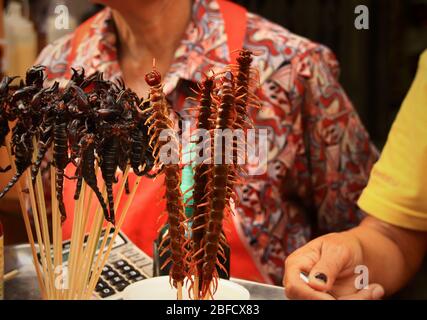 Gebratene Tausendfüßler und Skorpione, exotisches und traditionelles Street Food, das die Kultur und Küche Thailands zeigt Stockfoto