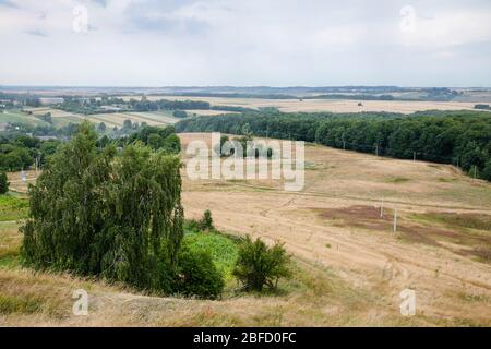 Landschaftlich schöne Aussicht auf grüne Sommerwälder in Pidkamin Dorf in der Ukraine Stockfoto