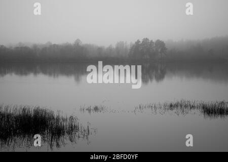 Eine schwarz-weiße Szene an einem Fluss an einem grauen nebligen Tag mit trockenem Schilf im Vordergrund und einem anderen Ufer, das im Nebel verschwindet Stockfoto