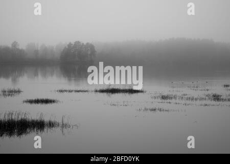 Eine schwarz-weiße Szene an einem Fluss an einem grauen nebligen Tag mit trockenem Schilf im Vordergrund und einem anderen Ufer, das im Nebel verschwindet Stockfoto